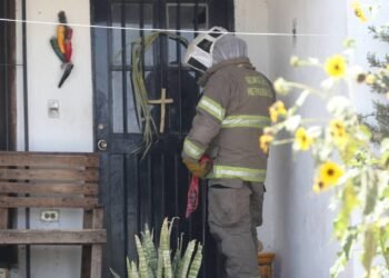 Hermosillo: Hombre mayor es atacado por abejas en la Café Combate