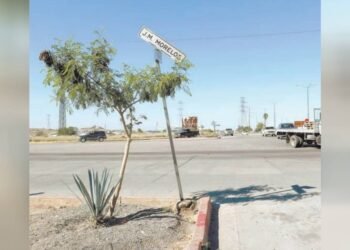 Invitan a colaborar en Camellón Botánico en Hermosillo con técnicas de infraestructura verde