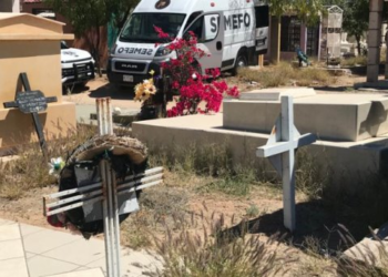 Trabajador de panteón se quita la vida; lo hallan en árbol