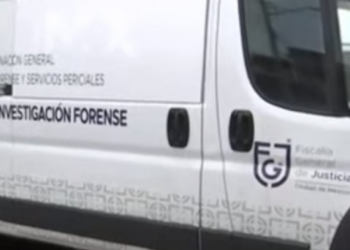 Niña de 2 años muere ahogada en bebedero de vacas