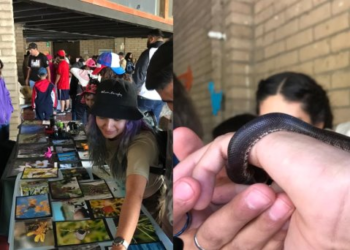 Se lleva a cabo el Primer Festival de Paleobiología en el Centro Ecológico