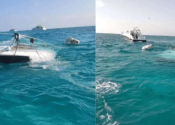 Video: yate se hunde por fallas mecánicas; iban 15 personas a bordo