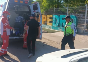 Hombre sufre mordedura de víbora de cascabel en ejido El Tronconal
