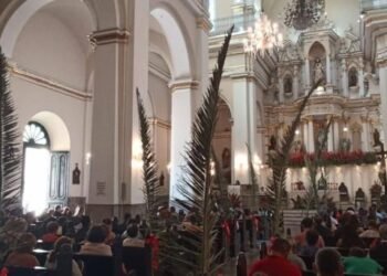 Hermosillenses acuden por su cruz de palma este Domingo de Ramos