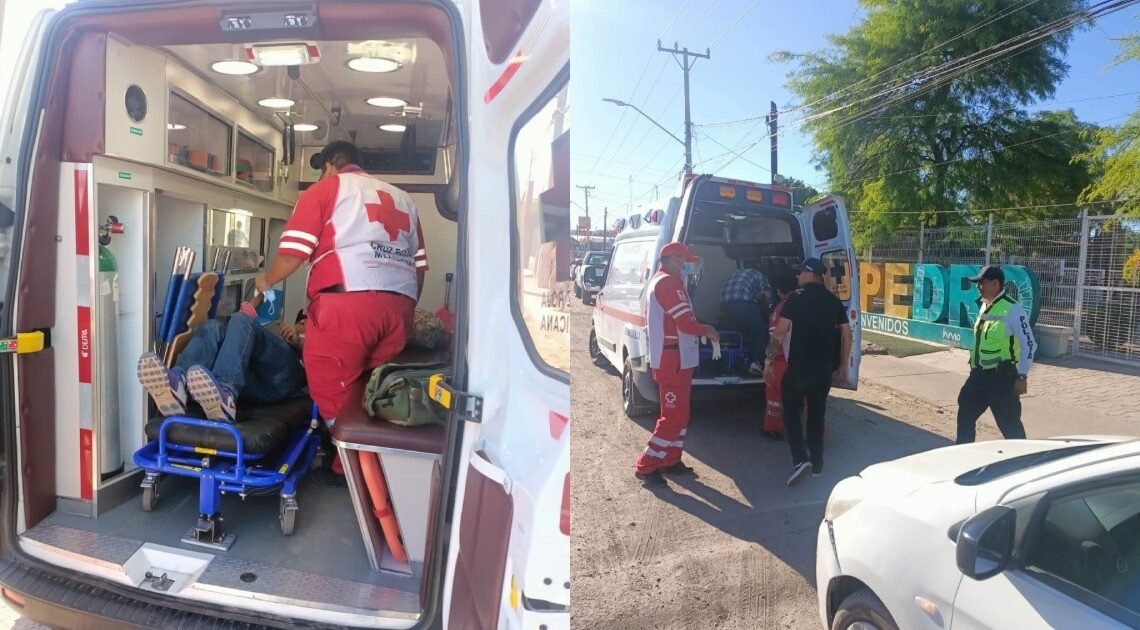 Persona resulta lesionada por mordedura de víbora de cascabel en ejido El Tronconal Persona resulta lesionada por mordedura de víbora de cascabel en ejido El Tronconal
