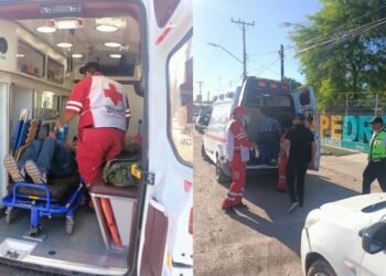 Persona resulta lesionada por mordedura de víbora de cascabel en ejido El Tronconal
