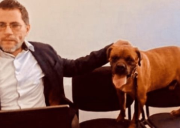 ‘El Chato’: primer perro que participa en audiencia judicial contra dueña