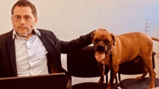 ‘El Chato’: primer perro que participa en audiencia judicial contra dueña ‘El Chato’: primer perro que participa en audiencia judicial contra dueña