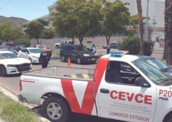 Incauta Cevce mercancía con valor de 50 mdp