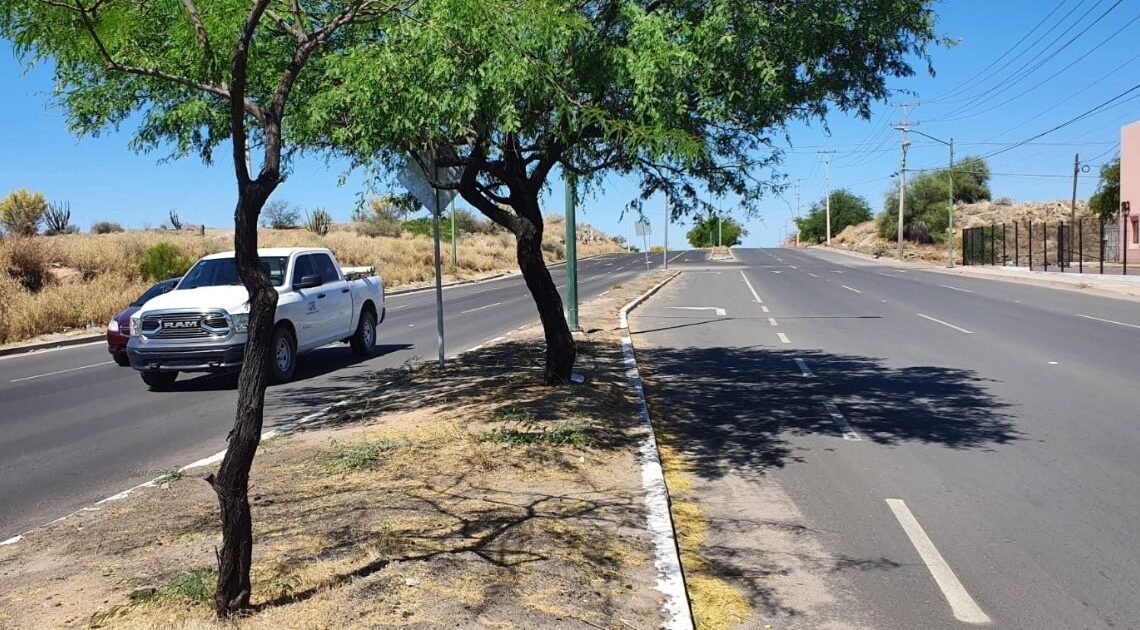 Hermosillo: Vecinos reportan a niños “tira piedras” en Altares