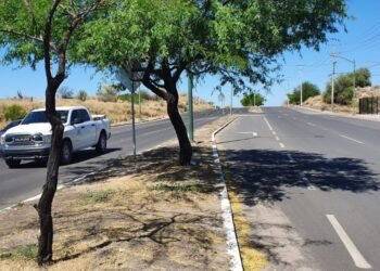 Hermosillo: Vecinos reportan a niños “tira piedras” en Altares