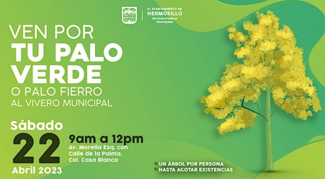 Donará vivero municipal arboles palo verde este sábado Donará vivero municipal arboles palo verde este sábado