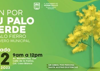 Donará vivero municipal arboles palo verde este sábado