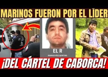 MARINOS fueron por “EL R” del CÁRTEL DE CABORCA; se escondía en Zapopan, Jalisco