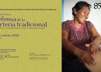 Eje 2. Foro Nacional: Defensa de la Partería