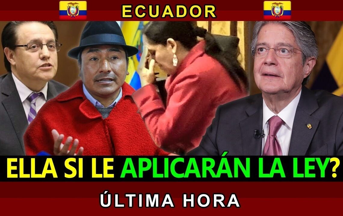 NOTICIAS ECUADOR: HOY 08 DE MAYO 2023 ÚLTIMA HORA #Ecuador #EnVivo
