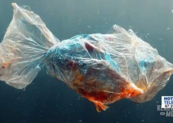 ¿Diseñas o adornas?: Taller de diseño de eventos