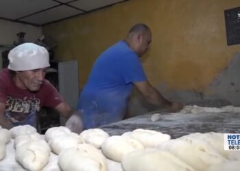 Descifrando Códigos Económicos: Reparto de Utilidades.