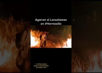 Agarran al lanzallamas en Hermosillo #noticias #nota #incendio #hermosillo #new  #viral