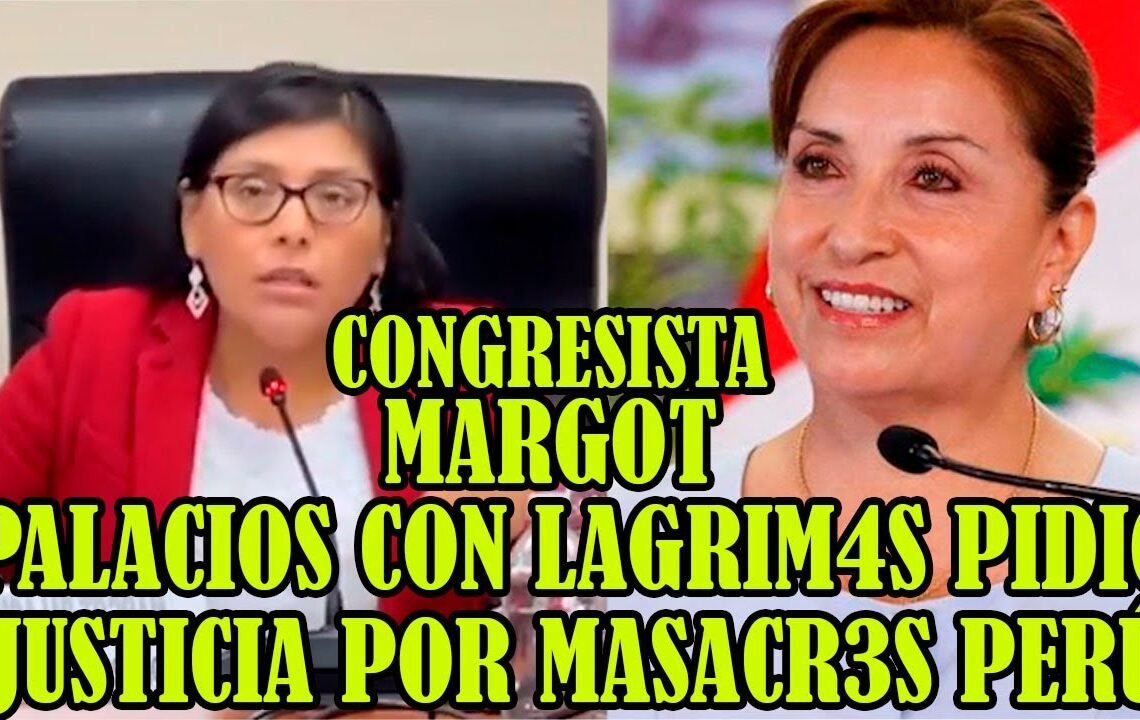 CONGRESISTA PALACIO PARTICIPO EN FORO INTERNACIONAL SOBRE DERECHOS HUMANOS EN EL PERÚ..