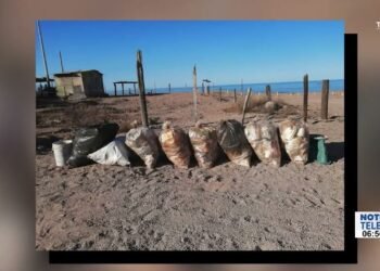 Piden a visitantes de playas que se lleven su basura