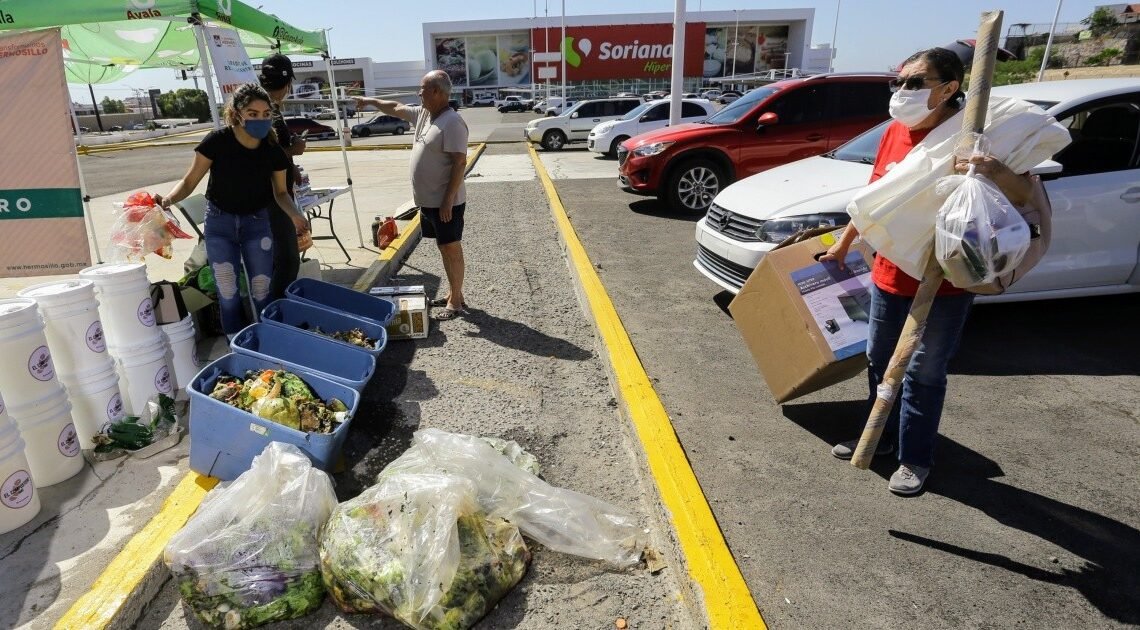 Hermosillo: Cambiarán material reciclable por árboles de palo verde