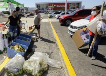 Hermosillo: Cambiarán material reciclable por árboles de palo verde