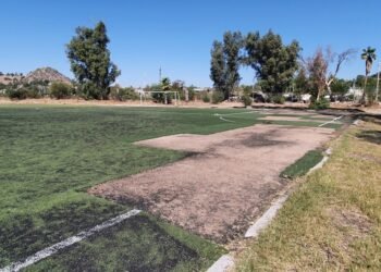 Atrapan en flagrancia a dos acusados de robar pasto sintético de La Sauceda