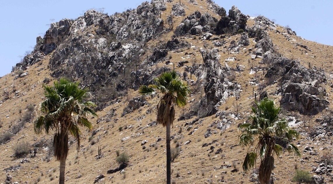 Gobierno de Sonora compra a Banorte el cerro de La Cementera en Hermosillo para ampliar La Sauceda