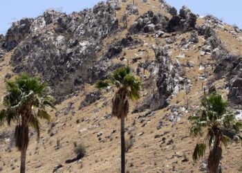 Gobierno de Sonora compra a Banorte el cerro de La Cementera en Hermosillo para ampliar La Sauceda
