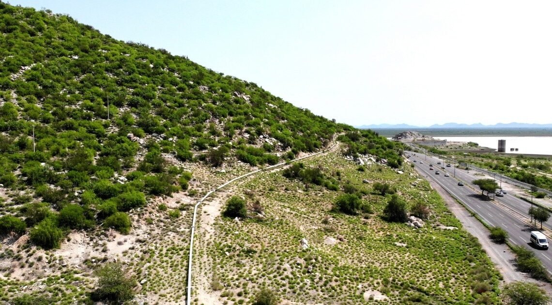 Costará al estado el cerro de La Cementera 3.5 mdp: Alfonso Durazo Costará al estado el cerro de La Cementera 3.5 mdp: Alfonso Durazo