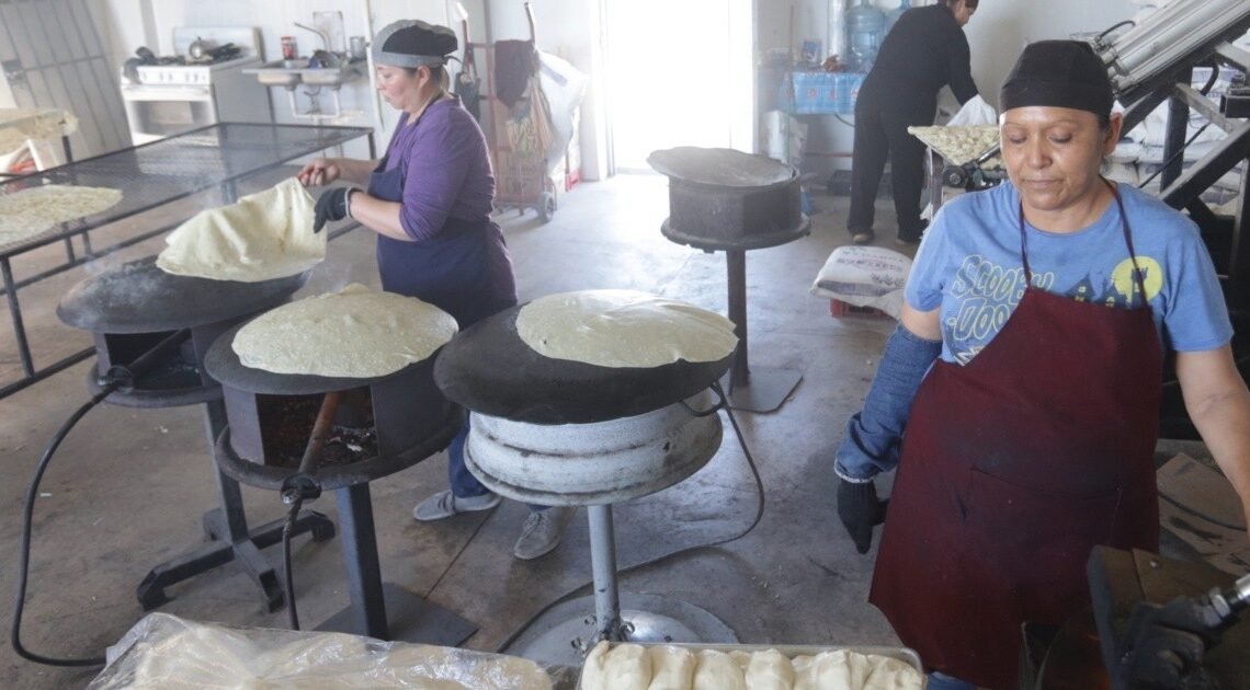 “Maquilan” las tortillas “sobaqueras” sin perder sabor y calidad “Maquilan” las tortillas “sobaqueras” sin perder sabor y calidad
