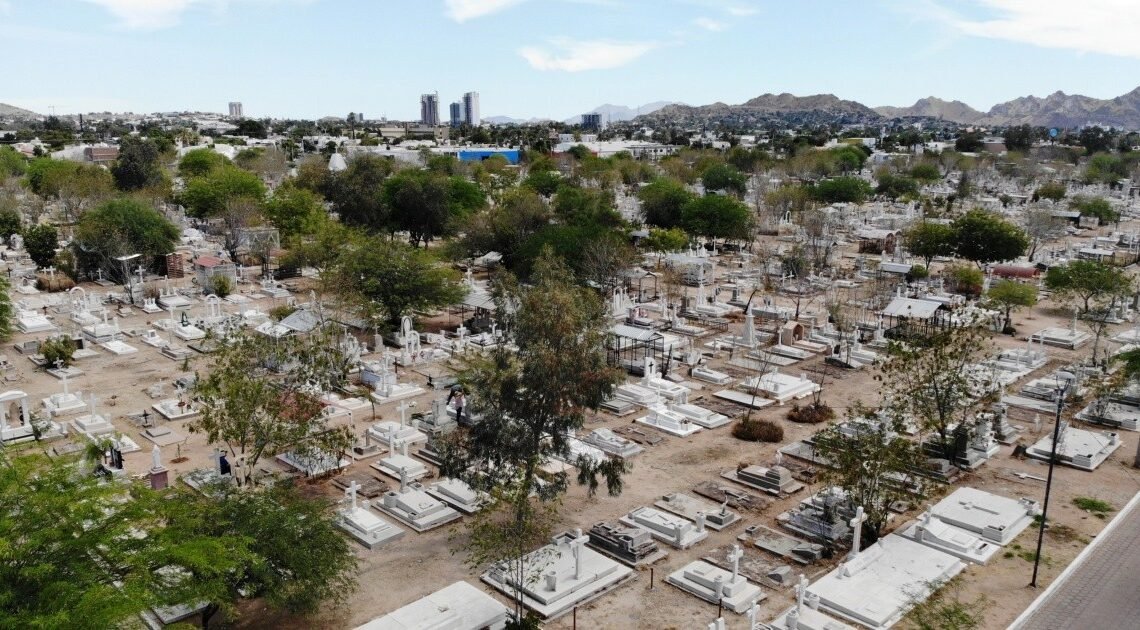 Hermosillo: Reforestarán Panteón Yáñez