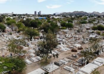 Hermosillo: Reforestarán Panteón Yáñez