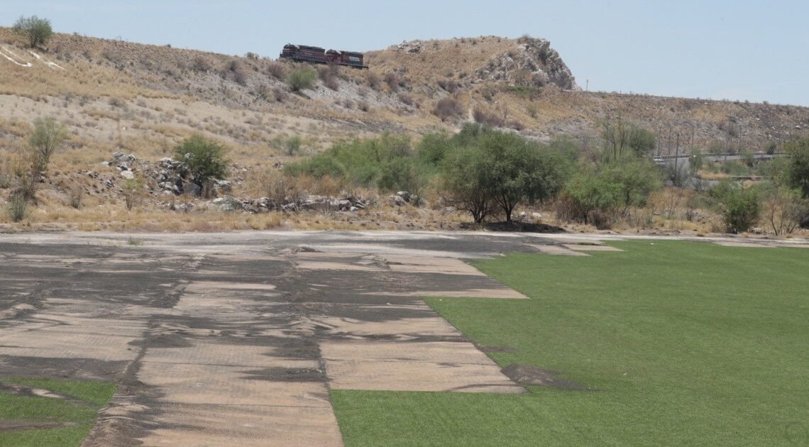 Desmontan y roban césped sintético en campos de La Sauceda