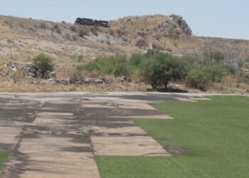 Desmontan y roban césped sintético en campos de La Sauceda