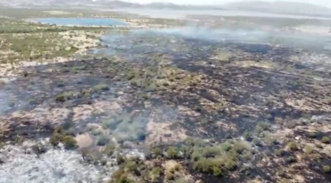 Arrasa incendio con casi 200 hectáreas de maleza