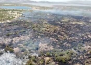 Arrasa incendio con casi 200 hectáreas de maleza