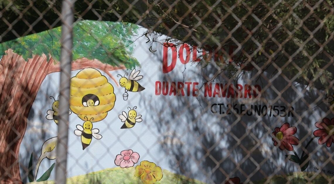 Hermosillo: Por enjambre de abejas suspenden clases en preescolar “Profesora Dolores Duarte Navarro”