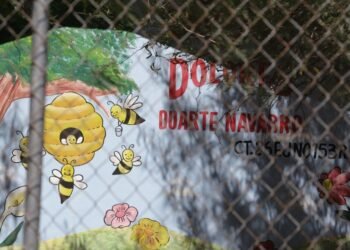 Hermosillo: Por enjambre de abejas suspenden clases en preescolar “Profesora Dolores Duarte Navarro”