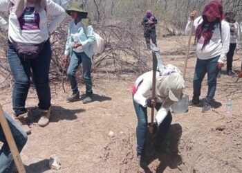 Madres Buscadoras de Sonora: Encuentran fosa clandestina con víctimas calcinadas cerca de la Mesa del Seri