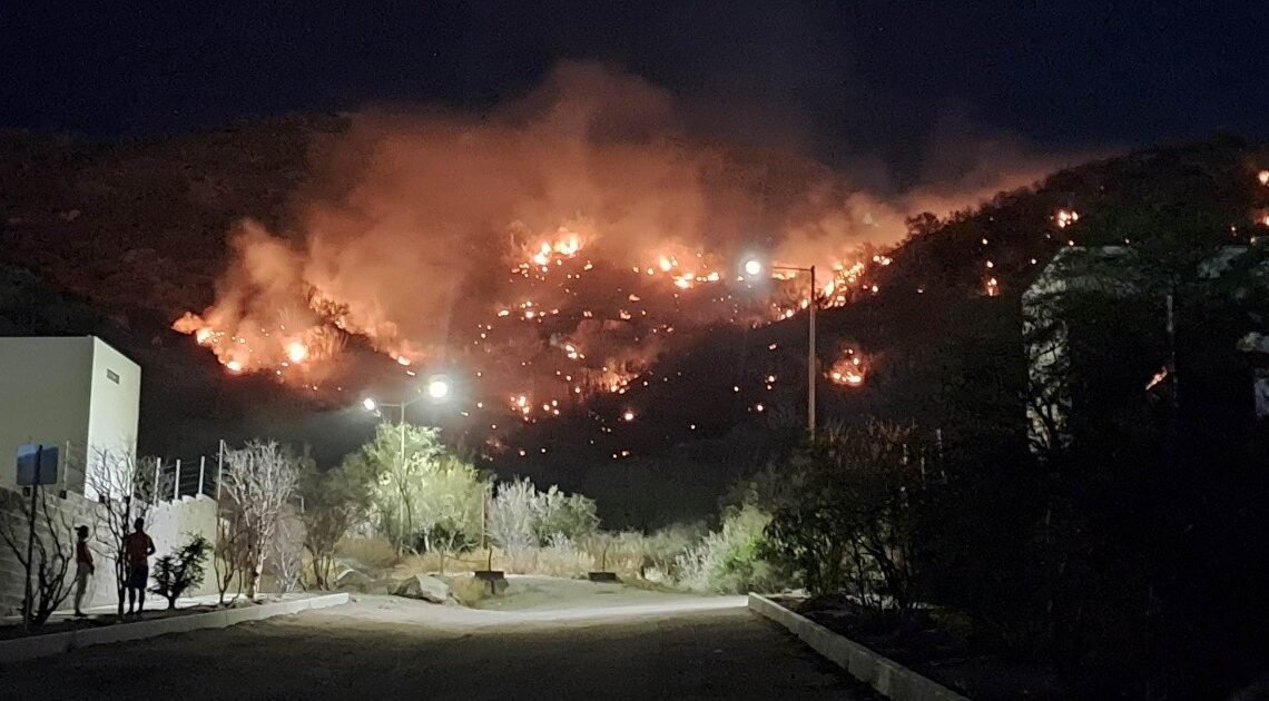 Incendio en Cerro Johnson afecta varias hectáreas de zacate buffel