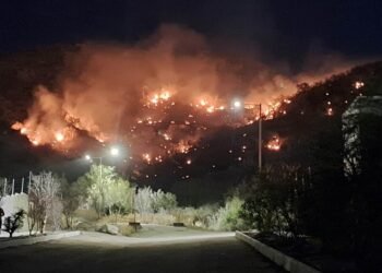 Incendio en Cerro Johnson afecta varias hectáreas de zacate buffel