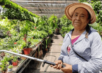 50 años de pasión verde: Eudosia es dueña de “Vivero el Paraíso”