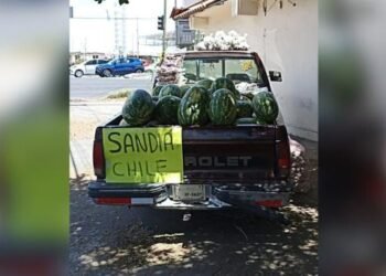 Temporada de sandía termina con saldo favorable en Hermosillo