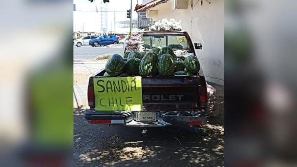 Temporada de sandía termina con saldo favorable en Hermosillo Temporada de sandía termina con saldo favorable en Hermosillo