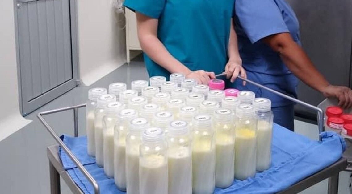Banco de Leche Humana del HIES ha captado mil 705 litros Banco de Leche Humana del HIES ha captado mil 705 litros