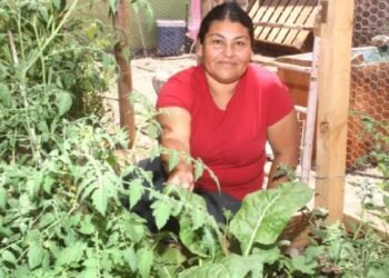 Imelda Cañez alimenta a su familia con su propio huerto en Punta Chueca