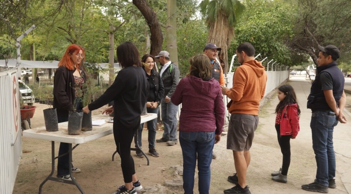 Hermosillo: Llevarán a cabo Feria del Árbol en Parque Madero el 28 de Junio; regalarán árboles nativos