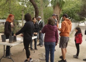 Hermosillo: Llevarán a cabo Feria del Árbol en Parque Madero el 28 de Junio; regalarán árboles nativos
